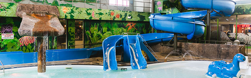 Dino Beach Pool at the Victoria Inn Hotel & Convention Centre, Winnipeg, Manitoba